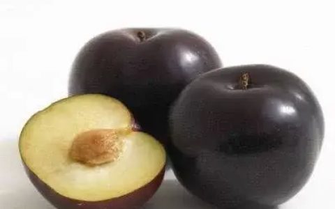 黑色水果有哪些-（黑色水果有哪些品种名字）