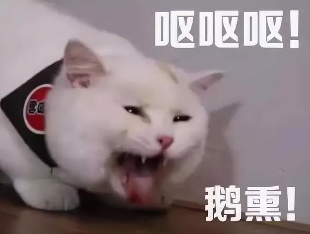 国内十大毒猫粮（中国十大毒猫粮）