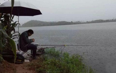雨天好钓鱼-（下大雨好钓鱼吗）