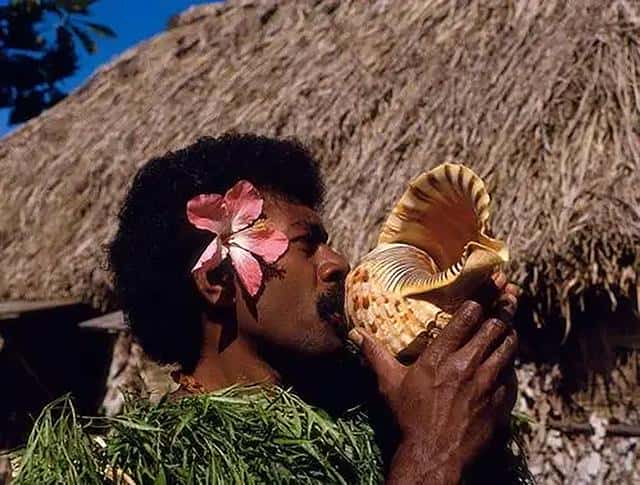 斐济 印度人（告诉你一个真实的斐济）