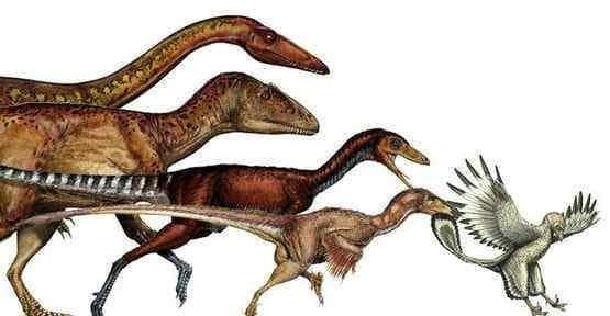 恐龙的祖先是什么动物-你们谁知道-（恐龙的祖先是什么）