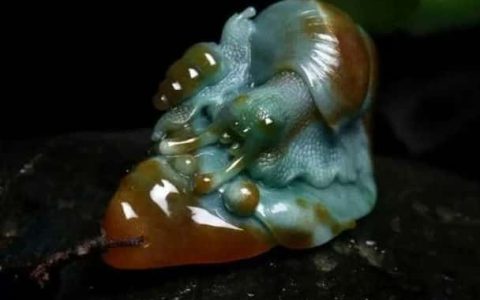 蜗牛玉吊坠的讲究（玉坠蜗牛的寓意和象征是什么）