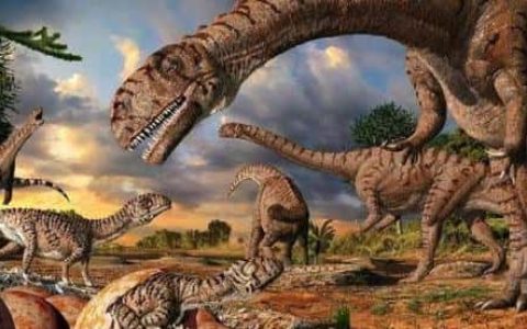 恐龙的祖先是什么动物-你们谁知道-（恐龙的祖先是什么）