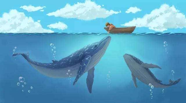 最大的蓝鲸有多重-（世界上最大的蓝鲸有多大）