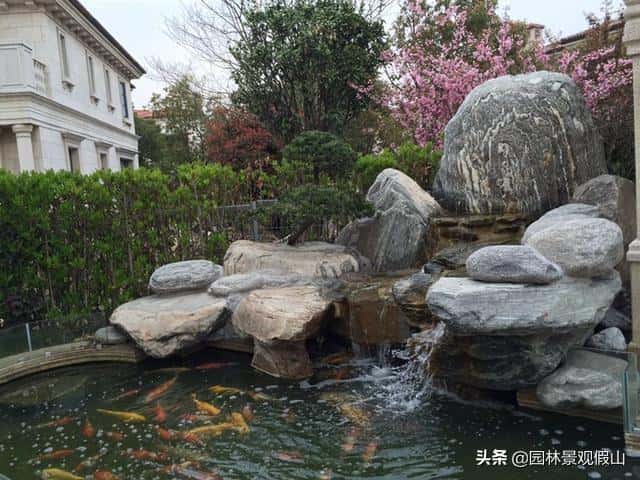 庭院鱼池边摆放的石头图片（庭院鱼池风水石雕鱼）