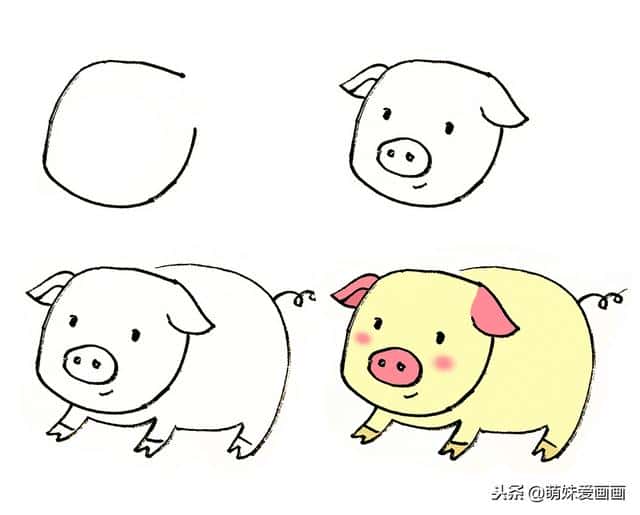 猪的简笔画怎样画（猪的简笔画 可爱 步骤）